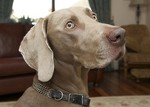 Lennox 15th_Oct_'11