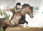 LINKS TO - Equestrian Events Jan '12