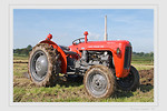 Massey Ferguson